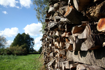 Holzstapel in freier Natur mit Wiese und Bäumen im Hintergrund