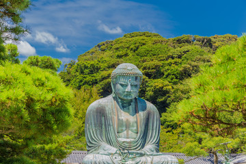 The Great Buddha in Kamakura, which is surrounded by green leaves.