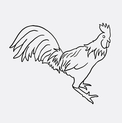 Rooster poultry animal hand drawing. Good use for symbol, logo, web icon, mascot, sticker, or any design you want