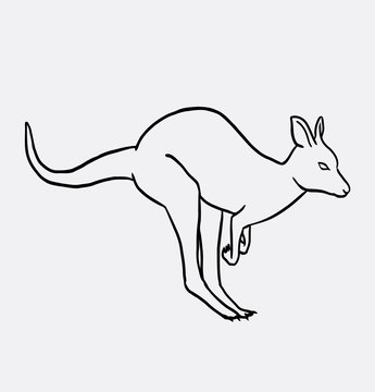 Kangaroo wild animal, Good use for symbol, logo, web icon, mascot, sign, 
