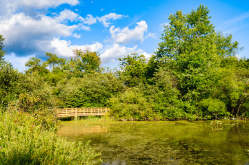 Jamestown Audubon Center and Sanctuary © Zack Frank