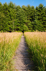 Jamestown Audubon Center and Sanctuary