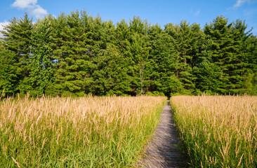 Jamestown Audubon Center and Sanctuary © Zack Frank