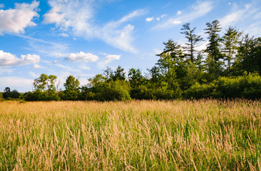 Jamestown Audubon Center and Sanctuary © Zack Frank