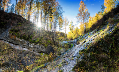 осенний пейзаж с ручьем в лесу, Россия