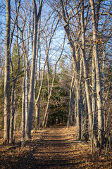 Long Point State Park