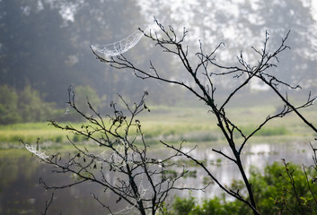 Jamestown Audubon Center and Sanctuary © Zack Frank