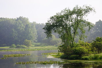 Jamestown Audubon Center and Sanctuary © Zack Frank