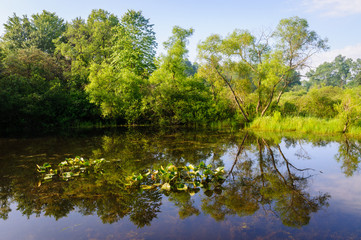 Jamestown Audubon Center and Sanctuary