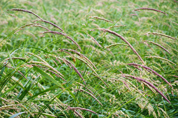 Jamestown Audubon Center and Sanctuary