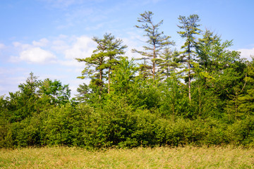 Jamestown Audubon Center and Sanctuary © Zack Frank