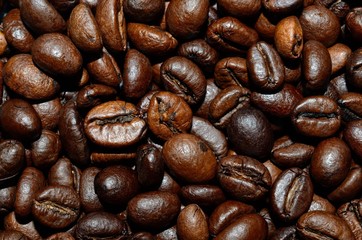Fresh roasted coffee beans background, texture. Arabica bean wallpaper, close-up.