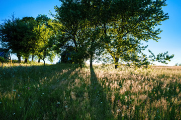 Beautiful field in sunshine. Rural house background.