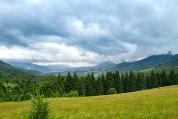 Fototapeta na wymiar Beautiful landscape of Ukrainian Carpathian mountains.