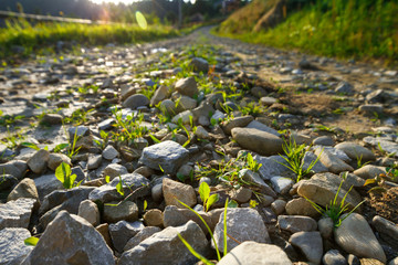 Beautiful view of countryside road. Focus on rocks.
