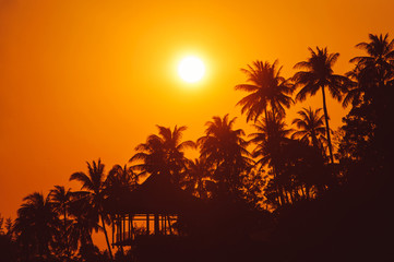 Fototapeta na wymiar Sunset on tropical beach with palm trees silhouettes