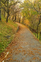 Fototapeta na wymiar Autumn park path