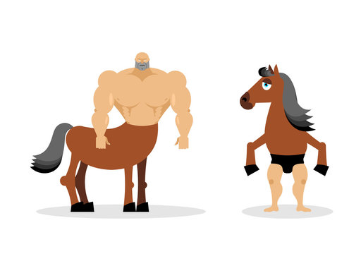 Centaur mythical creature. Half horse half person. Sports creatu