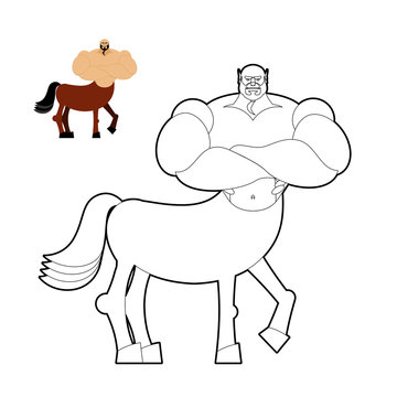 Centaur coloring book. Line style of mythical creature. Half hor