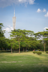 Obraz premium And green the grass in the park