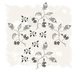 Plants with leaves and gooseberry. Herbal background. Vector illustration.
