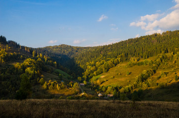 Carpathian mountains landscape