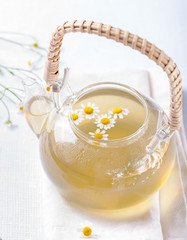 Pot of camomile tea with flowers White background