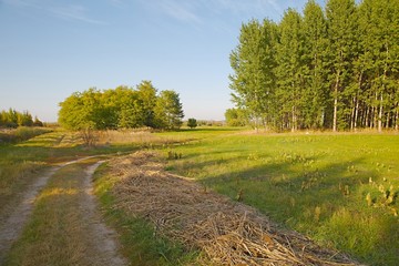 Barren field in the countryside