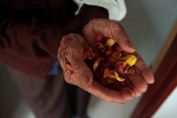 Flower on old woman hand.