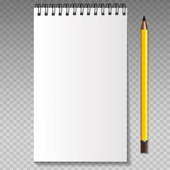 Realistic template notebook