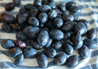 Blue plums fresh from the orchard
