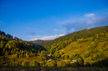 Obraz premium Carpathian mountains landscape
