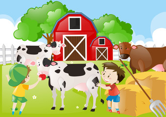 Two boys feeding cows in the farm