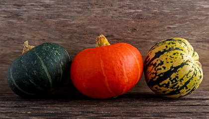 Many coloured autumn Pumpkins on wooden background