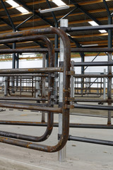 cowshed construction