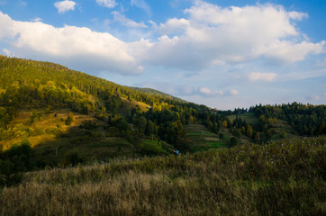 Fototapeta premium Carpathian mountains landscape
