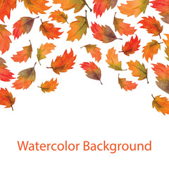 Art watercolor autumn leaves