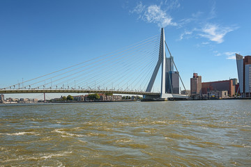 Erasmus bridge with on the right de building Tower on South.