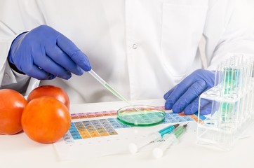 Technician working with genetically modified vegetables. GMO food in lab