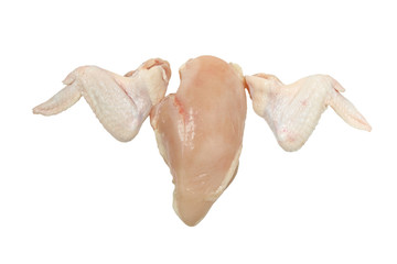 Chickens wings and fillet portrayed chicken in flight isolated on white background