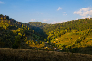 Carpathian mountains landscape