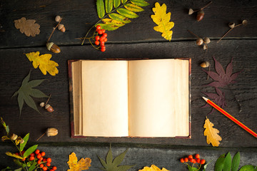 Autumn still life. Open vintage notebook with pencil autumn leaves, acorn and rowan over rustic background. Thanksgiving Day.