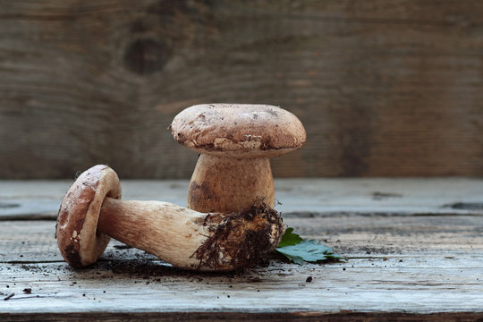 due funghi porcini su un tavolo di legno