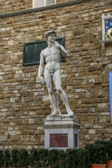 Italien, Toscana, Florenz, Ulaub, Michelangelo, David, Uffizien, Palazzo Pitti, Gardino Boboli,...
