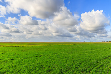 Green field and blue sky with clouds