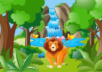 Wild lion living in the forest