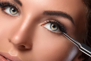 Beautiful woman with eyelash extension - obrazy, fototapety, plakaty