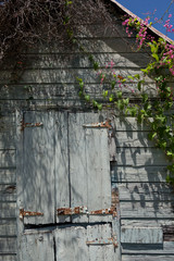 Anguilla Beaches and More