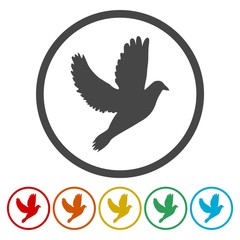Dove circle background icon, isolated on white background