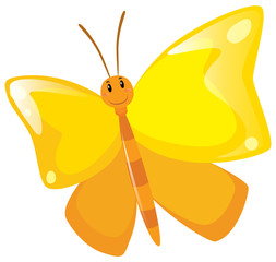 Butterfly with yellow wings